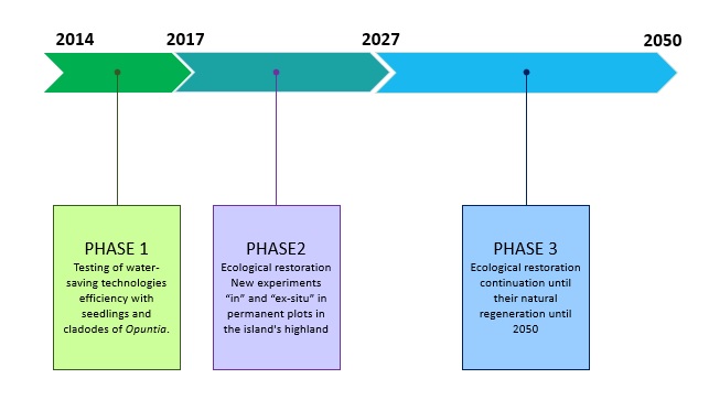 timeline